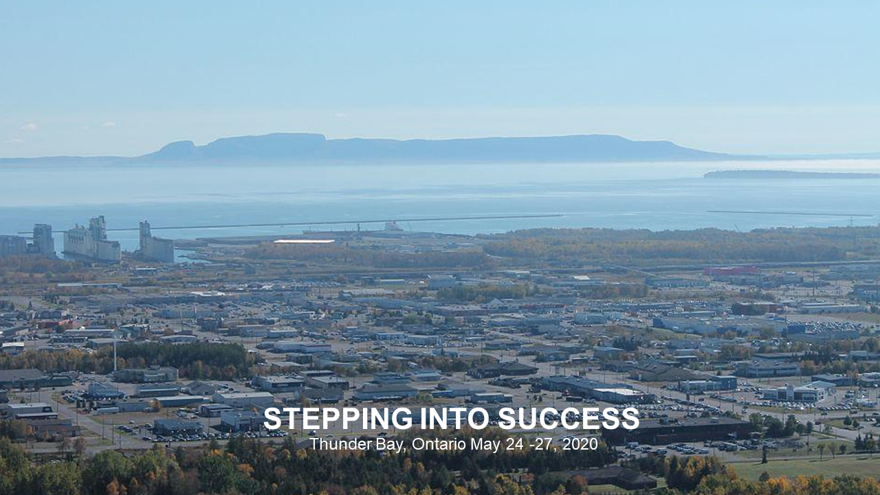 2020_Conference_Images/Stepping into success.png